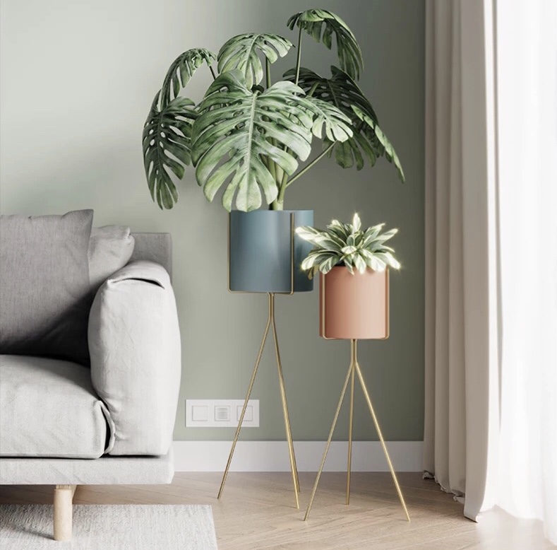 圖片來源/藍灣悅庭旗艦店截圖