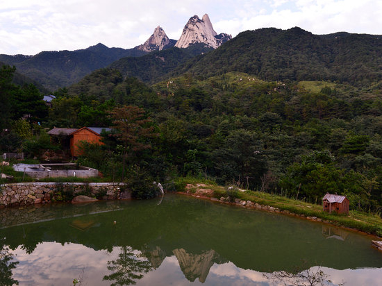 頂門頂戶頂梁柱，功名利祿靠此處！不看后悔！